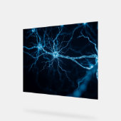 Nervensystem Acrylschild (Winkel)