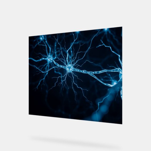 Nervensystem Acrylschild (Winkel)