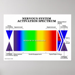 Nervensystem-Aktivierungsspektrum Poster