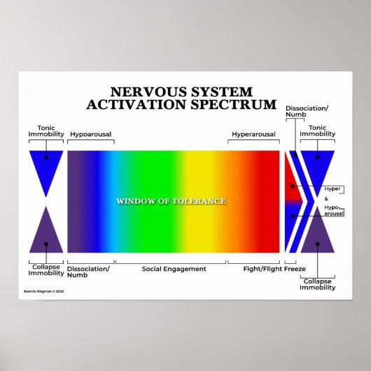 Nervensystem-Aktivierungsspektrum Poster (Vorne)