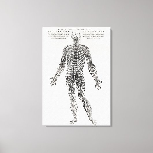 Nervensystem (b/w-Druck) Leinwanddruck (Vorderseite)