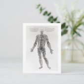 Nervensystem (b/w-Druck) Postkarte (Stehend Vorderseite)