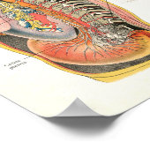 Nervensystem Nervenzellen Anatomie Poster (Ecke)