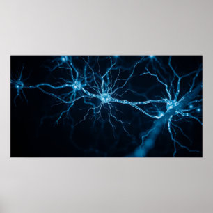 Nervensystem Poster