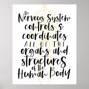 Nervensystem Poster, Chiropraktik Poster, Chiro Poster