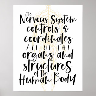 Nervensystem Poster, Chiropraktik Poster, Chiro Poster