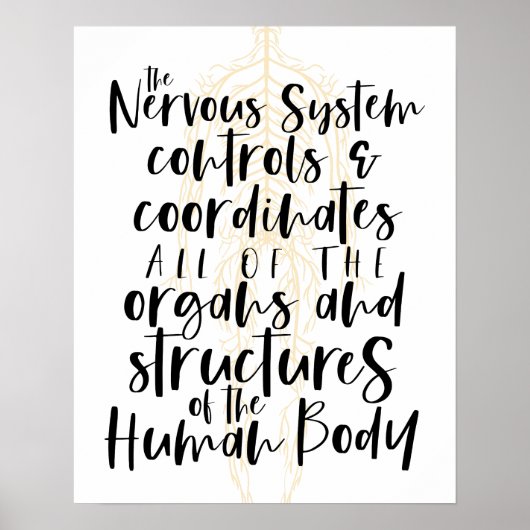 Nervensystem Poster, Chiropraktik Poster, Chiro Poster (Vorne)