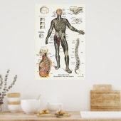 Nervensystem Rückenschmerzen Chiropraktische Erkra Poster (Küche)