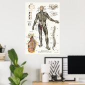 Nervensystem Rückenschmerzen Chiropraktische Erkra Poster (Heimbüro)