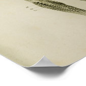 Nervensystem Vintage Anatomie Poster (Ecke)