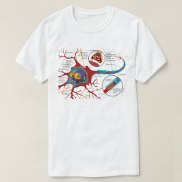 Nervenzelldiagramm T-Shirt