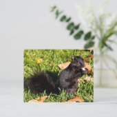 Nervous Kleiner Typ Postkarte (Stehend Vorderseite)