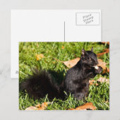 Nervous Kleiner Typ Postkarte (Vorne/Hinten)