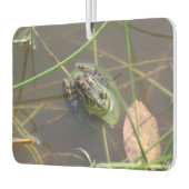 Nerzfrosch Autolufterfrischer (Links)