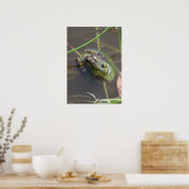 Nerzfrosch Poster (Küche)