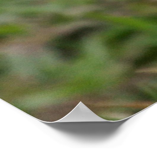 Nest Builder Puffin Poster (Ecke)