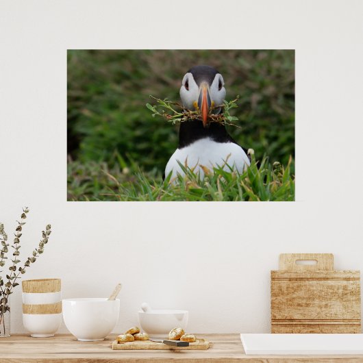 Nest Builder Puffin Poster (Küche)