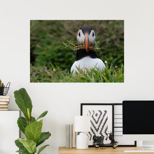 Nest Builder Puffin Poster (Heimbüro)