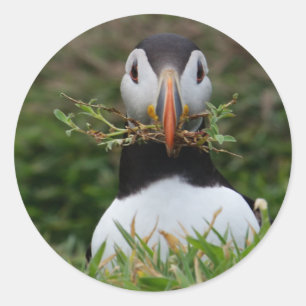 Nest Builder Puffin Runder Aufkleber