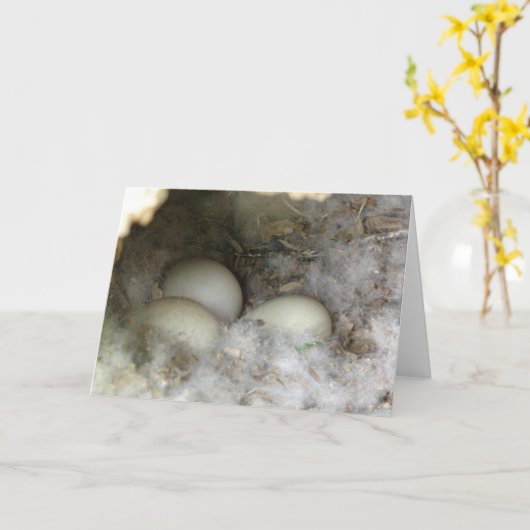 Nest der Enteneier Karte (Gelbe Blume)