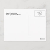 Nest der Robin Eggs Postkarte (Rückseite)