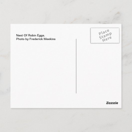 Nest der Robin Eggs Postkarte (Rückseite)