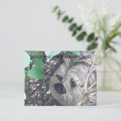 Nest der schwarzen und weißen Hornnetze Postkarte (Stehend Vorderseite)