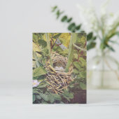 Nest des Roten Flügels Blackbird Postkarte (Stehend Vorderseite)