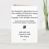 Nest enthüllt karte (Rückseite)