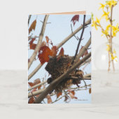 Nest enthüllt karte (Gelbe Blume)