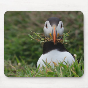 Nest-Erbauer-Papageientaucher Mousepad