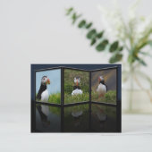 Nest Gebäude Puffin Postkarte (Stehend Vorderseite)