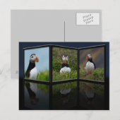 Nest Gebäude Puffin Postkarte (Vorne/Hinten)