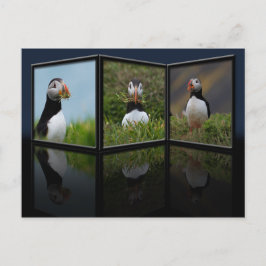 Nest Gebäude Puffin Postkarte
