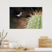 Nest Maker Poster (Küche)