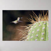 Nest Maker Poster (Vorne)