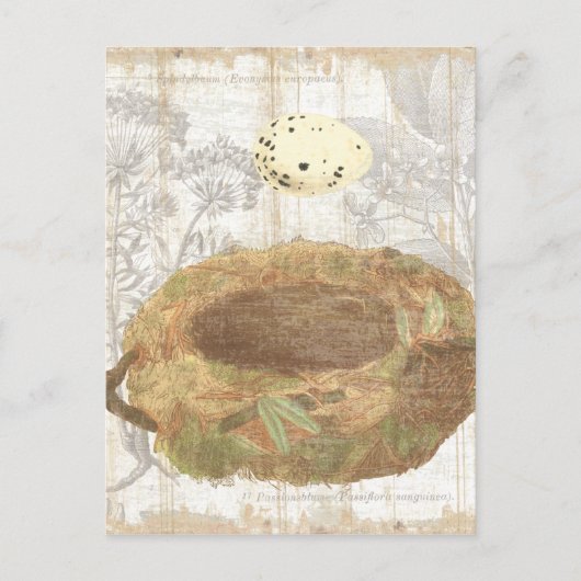 Nest mit geschweißtem Ei Postkarte (Vorderseite)