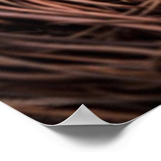 Nest mit Herz Poster (Ecke)