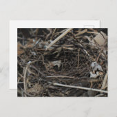 Nest Postkarte (Vorne/Hinten)