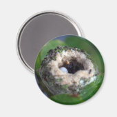Nest- und Ei-Foto Magnet (Vorderseite/Rückseite)