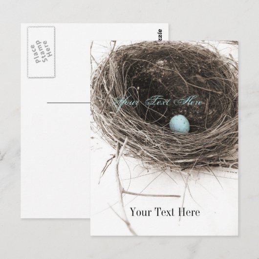 Nest und Ei Postkarte (Vorne/Hinten)