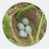 Nestful of Eggs Runder Aufkleber (Vorderseite)