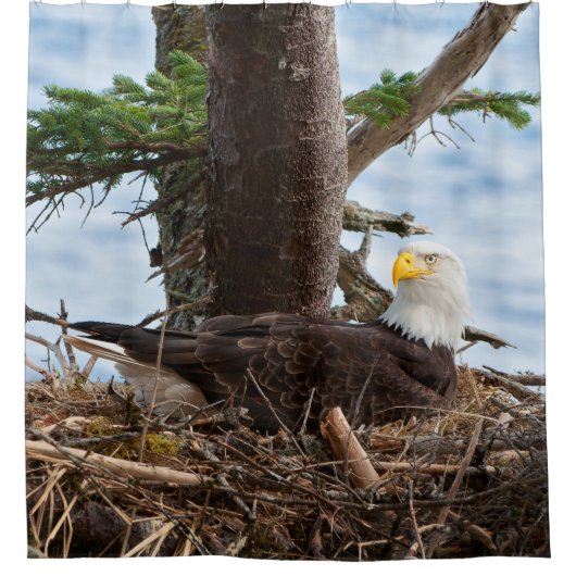 Nesting Bald Eagle Duschvorhang (Vorderseite)