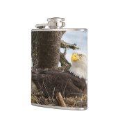 Nesting Bald Eagle Flachmann (Links)