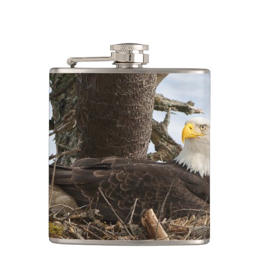 Nesting Bald Eagle Flachmann (Vorderseite)