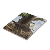 Nesting Bald Eagle Fliese (Seite)