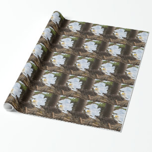 Nesting Bald Eagle Geschenkpapier