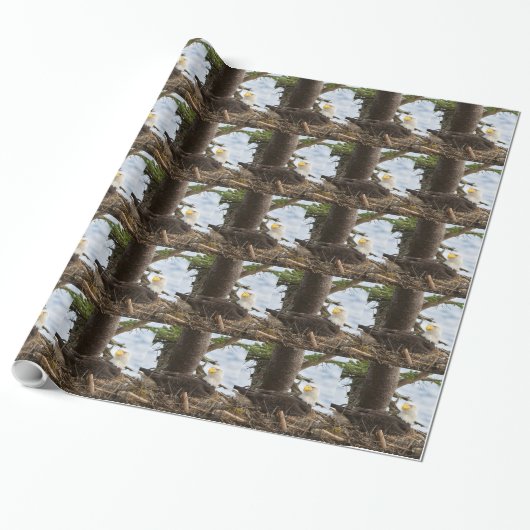 Nesting Bald Eagle Geschenkpapier (Ungerollt)
