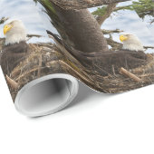 Nesting Bald Eagle Geschenkpapier (Rolleneckpunkt)