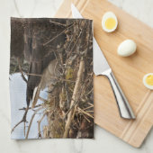 Nesting Bald Eagle Geschirrtuch (Viertel Falte)
